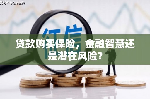 修文贷款购买保险，金融智慧还是潜在风险？