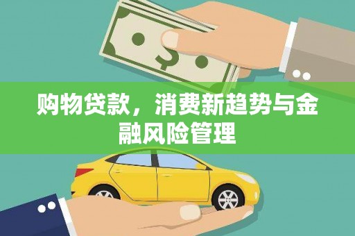 修文购物贷款，消费新趋势与金融风险管理