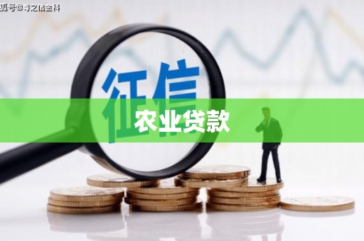 修文农业贷款