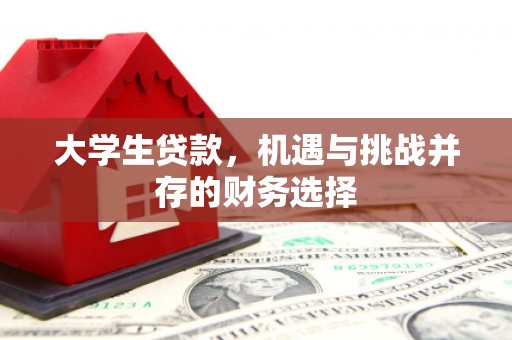 修文大学生贷款，机遇与挑战并存的财务选择