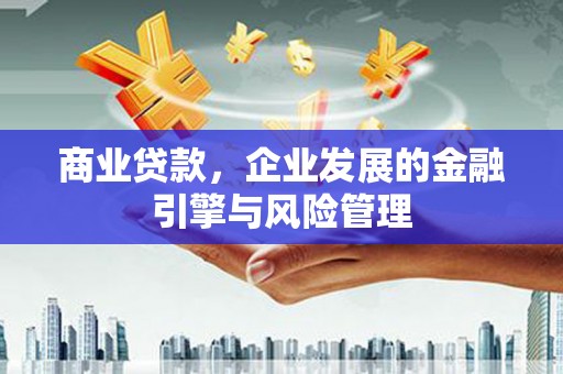 修文商业贷款，企业发展的金融引擎与风险管理