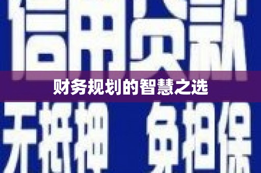 修文财务规划的智慧之选