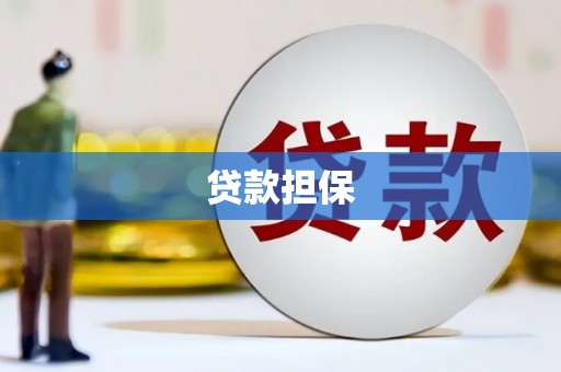 修文贷款担保