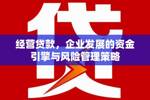 修文经营贷款，企业发展的资金引擎与风险管理策略