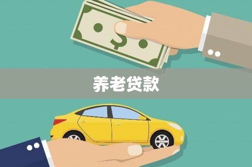 修文养老贷款