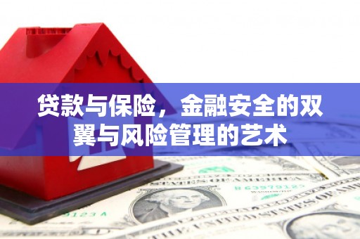 修文贷款与保险，金融安全的双翼与风险管理的艺术