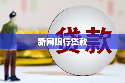 修文新网银行贷款