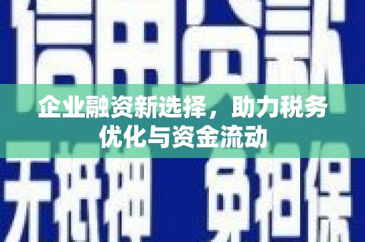 修文企业融资新选择，助力税务优化与资金流动