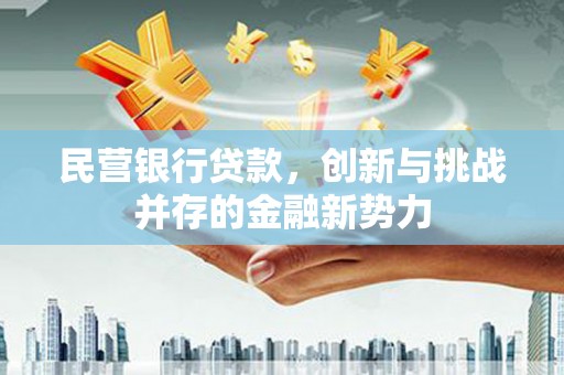 修文民营银行贷款，创新与挑战并存的金融新势力