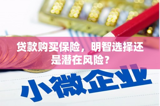 修文贷款购买保险，明智选择还是潜在风险？