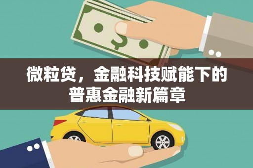 修文微粒贷，金融科技赋能下的普惠金融新篇章