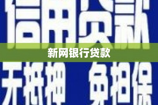 修文新网银行贷款