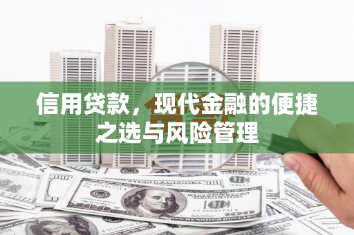 修文信用贷款，现代金融的便捷之选与风险管理