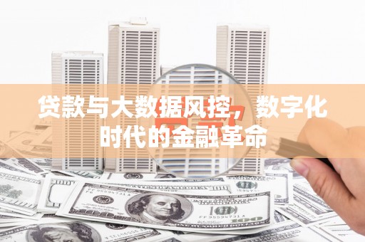 修文贷款与大数据风控，数字化时代的金融革命