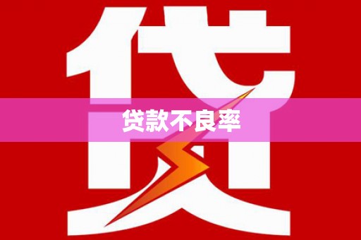 修文贷款不良率