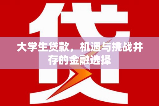修文大学生贷款，机遇与挑战并存的金融选择