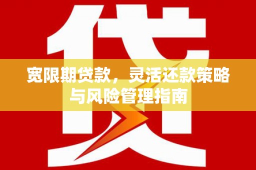 修文宽限期贷款，灵活还款策略与风险管理指南