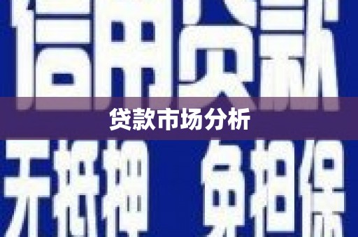 修文贷款市场分析