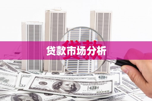 修文贷款市场分析