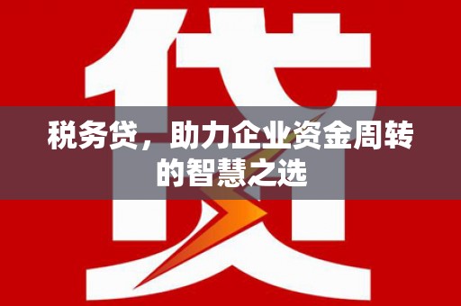 修文税务贷，助力企业资金周转的智慧之选