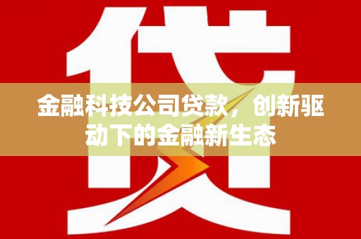 修文金融科技公司贷款，创新驱动下的金融新生态