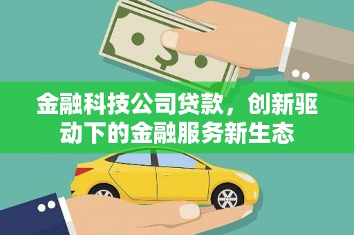 修文金融科技公司贷款，创新驱动下的金融服务新生态