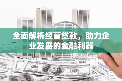 修文全面解析经营贷款，助力企业发展的金融利器