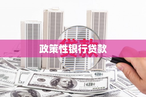 修文政策性银行贷款