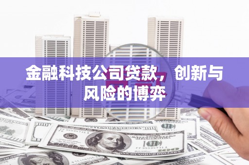 修文金融科技公司贷款，创新与风险的博弈