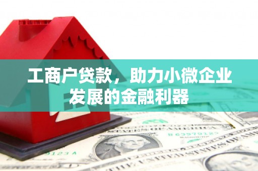 修文工商户贷款，助力小微企业发展的金融利器
