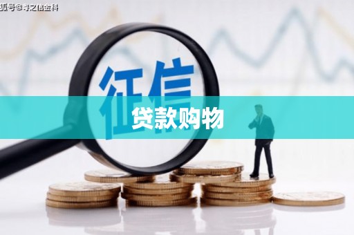 修文贷款购物