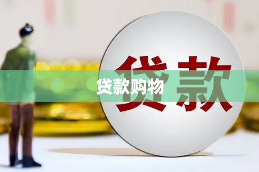 修文贷款购物