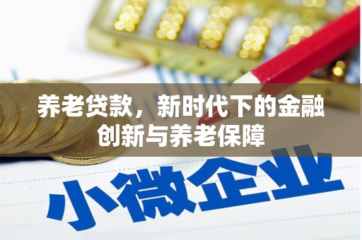 修文养老贷款，新时代下的金融创新与养老保障