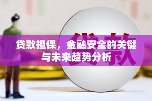 修文贷款担保，金融安全的关键与未来趋势分析