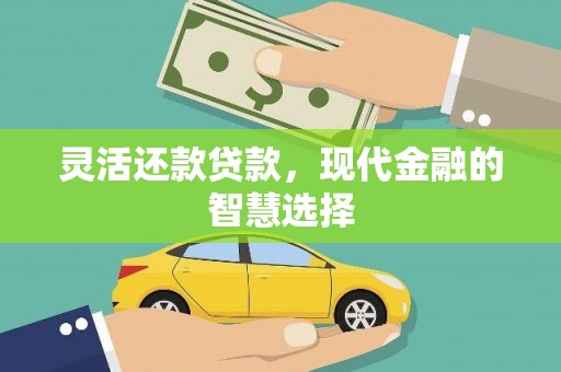 修文灵活还款贷款，现代金融的智慧选择