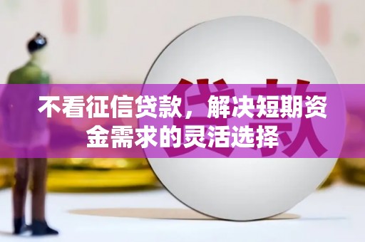 修文不看征信贷款，解决短期资金需求的灵活选择