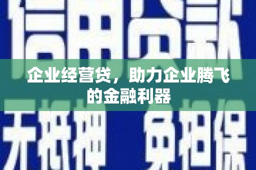 修文企业经营贷，助力企业腾飞的金融利器