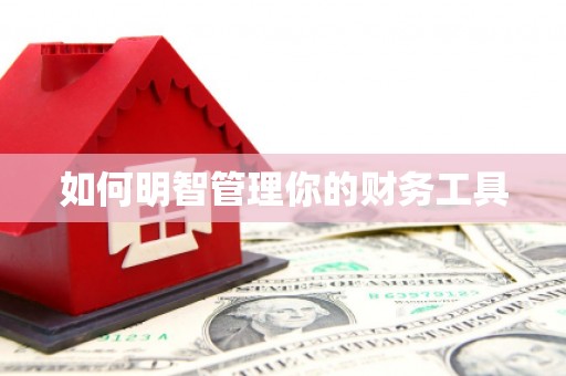 修文如何明智管理你的财务工具