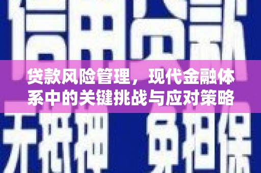 修文贷款风险管理，现代金融体系中的关键挑战与应对策略