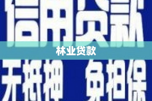 修文林业贷款