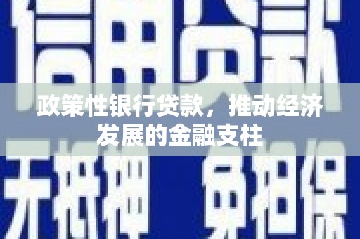 修文政策性银行贷款，推动经济发展的金融支柱