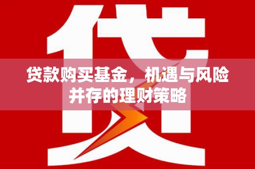 修文贷款购买基金，机遇与风险并存的理财策略