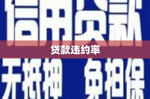 修文贷款违约率