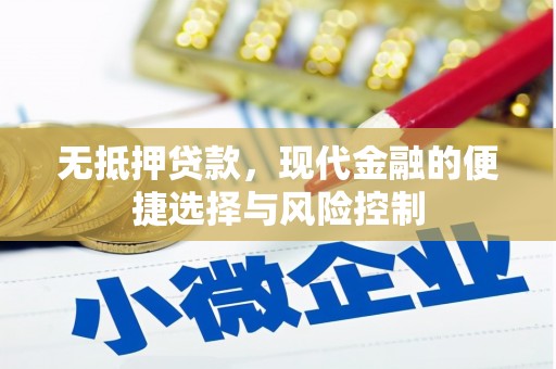 修文无抵押贷款，现代金融的便捷选择与风险控制