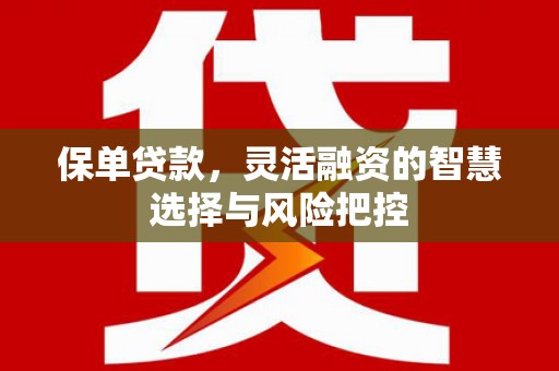 修文保单贷款，灵活融资的智慧选择与风险把控