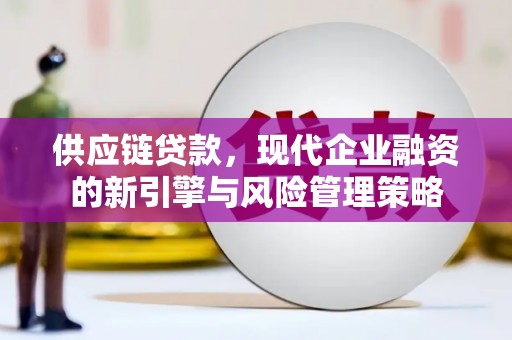 修文供应链贷款，现代企业融资的新引擎与风险管理策略