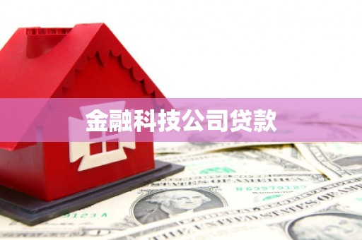修文金融科技公司贷款