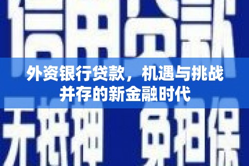 修文外资银行贷款，机遇与挑战并存的新金融时代