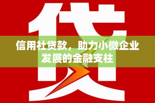 修文信用社贷款，助力小微企业发展的金融支柱