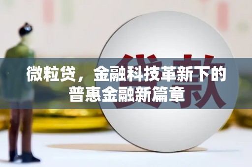 修文微粒贷，金融科技革新下的普惠金融新篇章